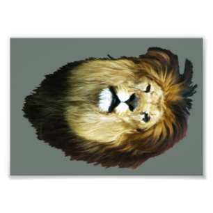 Onvolmaakte koning foto afdruk