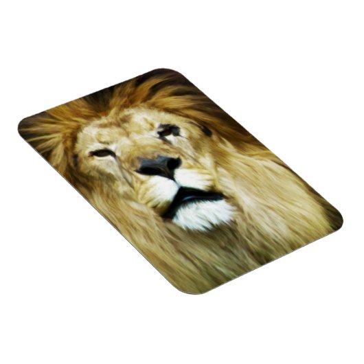 Onvolmaakte koning magneet (Rechterzijde)