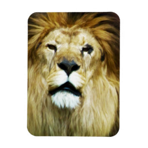 Onvolmaakte koning magneet