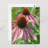 Onvolmaaktheid Briefkaart (Voorkant / Achterkant)