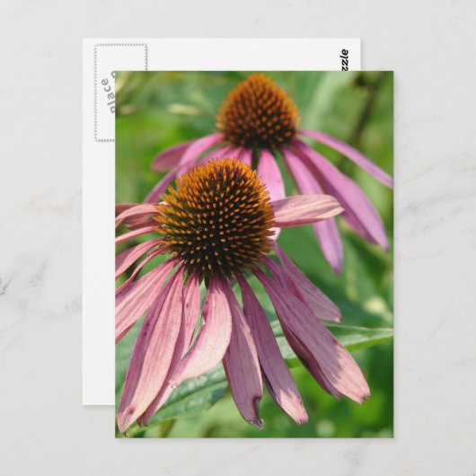 Onvolmaaktheid Briefkaart (Voorkant / Achterkant)