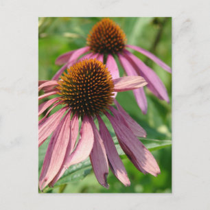 Onvolmaaktheid Briefkaart