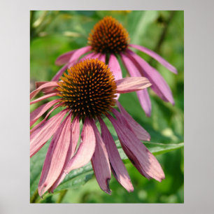 Onvolmaaktheid Poster