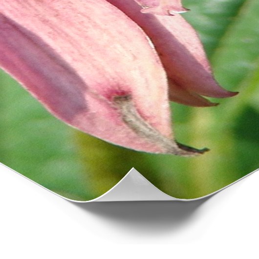 Onvolmaaktheid Poster (Hoek)