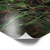 Onvolwassen kleine blauwe reiger foto afdruk (Hoek)