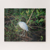 Onvolwassen kleine blauwe reiger legpuzzel (Horizontaal)