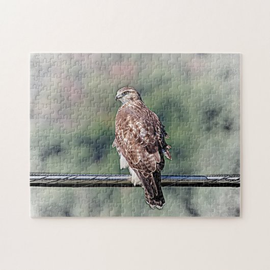 Onvolwassen Rode Staart Havik Legpuzzel (Horizontaal)