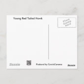 Onvolwassen Roodstaartbuizerd Coördineert Items Briefkaart (Achterkant)