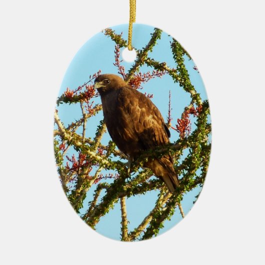 Onvolwassen Roodstaartbuizerd in Ocotillo struik Keramisch Ornament (Voorkant)