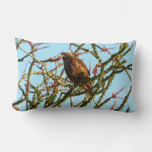 Onvolwassen Roodstaartbuizerd in Ocotillo struik Kussen (Voorkant)