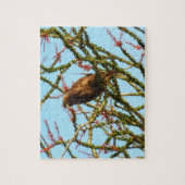 Onvolwassen Roodstaartbuizerd in Ocotillo struik Legpuzzel (Verticaal)