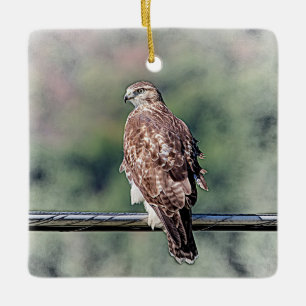 Onvolwassen Roodstaartbuizerd Keramisch Ornament