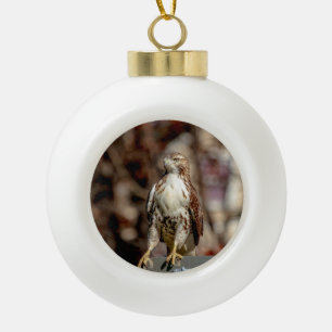 Onvolwassen Roodstaartbuizerd Keramische Bal Ornament