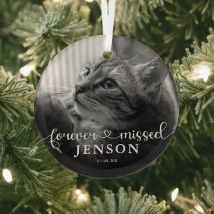Onvoorwaardelijk Gemiste Foto Huisdier Kat Herdenk Glas Ornament