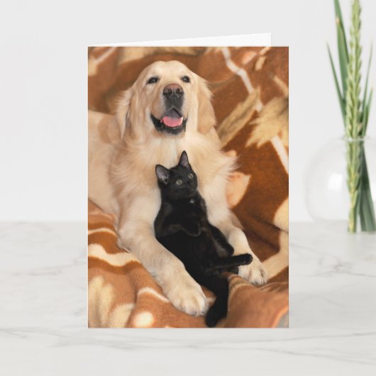Onvoorwaardelijk vriendschap Friends Dog & Cat Kaart (Voorkant)