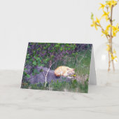 onvoorwaardelijk Wenskaart Kaart (Gele Bloem)