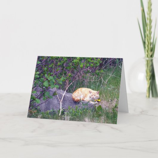 onvoorwaardelijk Wenskaart Kaart (Voorkant)