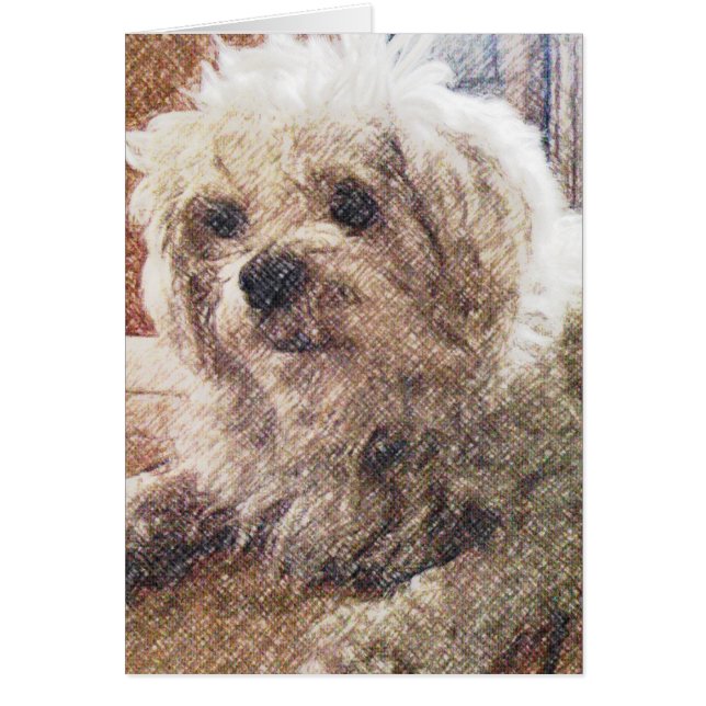 Onvoorwaardelijke liefde (Voorkant)