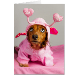 Onvoorwaardelijke liefde