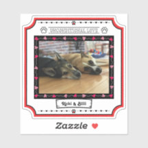 Onvoorwaardelijke liefde hond foto met harten en p