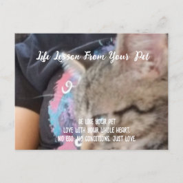 Onvoorwaardelijke liefde levensles van het huisdie feestdagenkaart