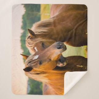 Onvoorwaardelijke liefde sherpa deken