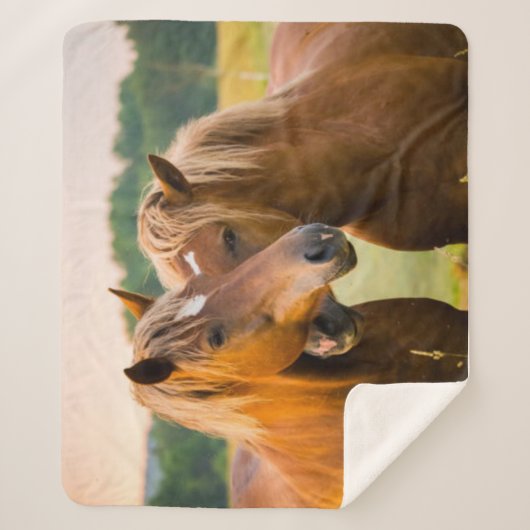 Onvoorwaardelijke liefde sherpa deken (Voorkant)