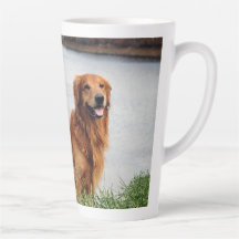 Onwankelbare trouw Inspirerend