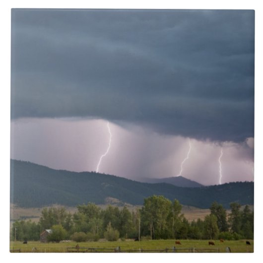 Onweer produceerde bliksem in de Jocko Tegeltje (Voorkant)