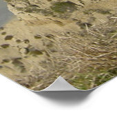 Onweerlegd Continent Poster (Hoek)