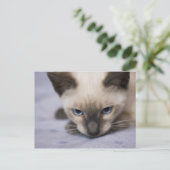 Onweerstaanbaar Blauw Briefkaart (Staand voorkant)