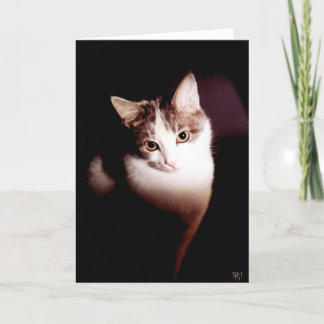 Onweerstaanbaar Kaart