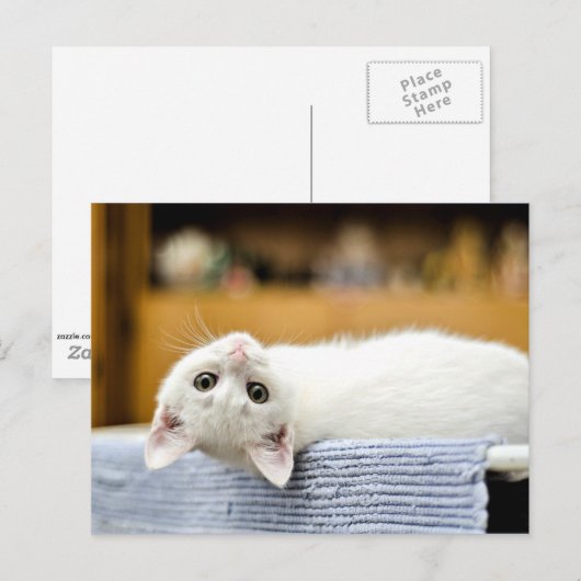 Onweerstaanbaar...knuffelbare, liefdevolle poesje briefkaart (Voorkant / Achterkant)