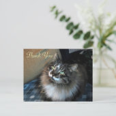 Onweerstaanbare Cat Zorro Bedankt Briefkaart (Staand voorkant)