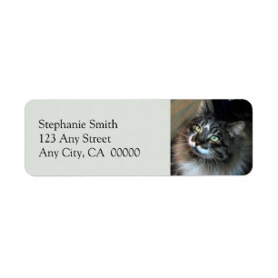 Onweerstaanbare Cat Zorro-labels voor retouradress Etiket