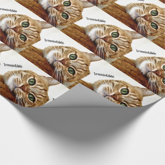 Onweerstaanbare kat cadeaupapier (Hoek)