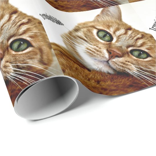 Onweerstaanbare kat cadeaupapier (Rol Hoek)