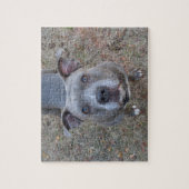 Onweerstaanbare Pitbull Puzzle Legpuzzel (Verticaal)