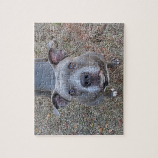 Onweerstaanbare Pitbull Puzzle Legpuzzel (Verticaal)