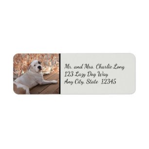 Onweerstaanbare porch Dog Return Address Labels