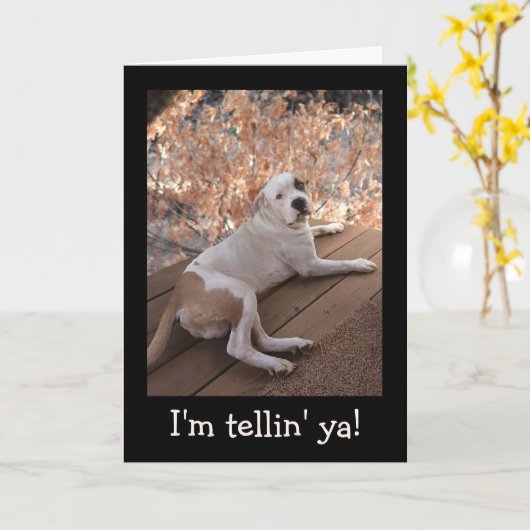 Onweerstaanbare portiekhond krijgt goed Kaart (Gele Bloem)