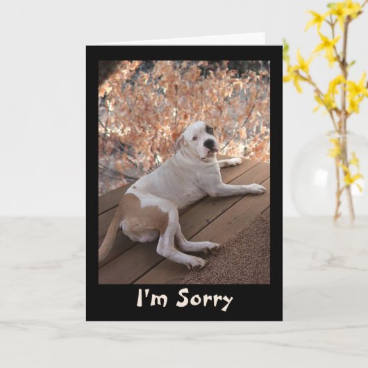 Onweerstaanbare veranda hond het spijt me Kaart (Gele Bloem)
