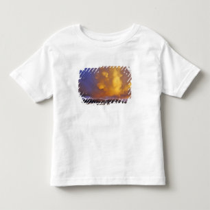 Onweerswolken in het Centennial-gebergte in Montan Kinder Shirts