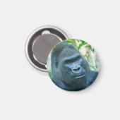 Onwrikbare Sterkte Silverback Gorilla Kito Magneet (Voorkant / Achterkant)