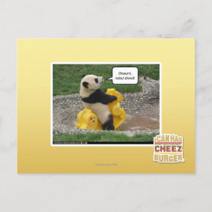 Onwurd, nobul steed! briefkaart