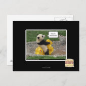 Onwurd, nobul steed! briefkaart (Voorkant / Achterkant)