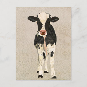 Onyx en Ivory Cow-Briefkaart Briefkaart