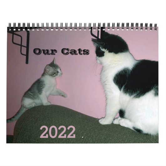 Onze aangepaste agenda voor de katten 2022 kalender (Hoes)