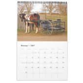 Onze Amish Kalender (Feb 2027)