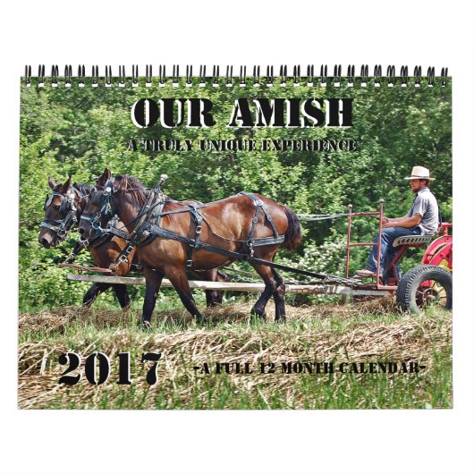 Onze Amish Kalender (Hoes)